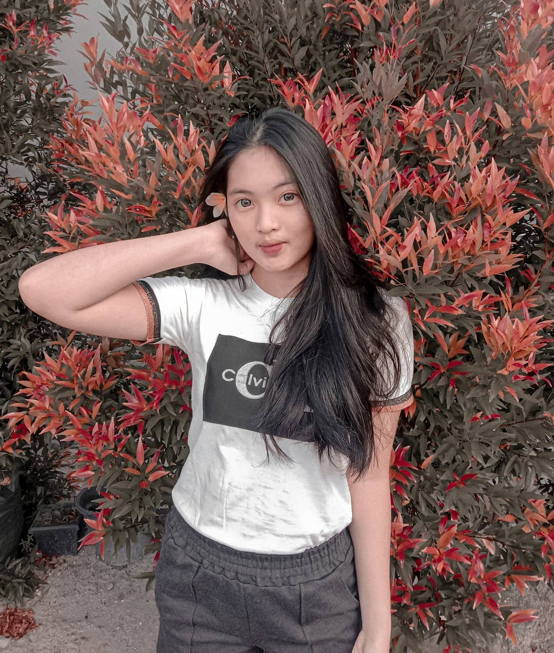 demo-image