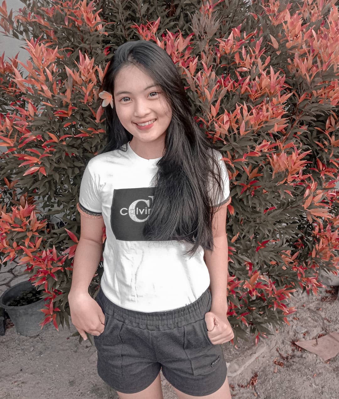 demo-image